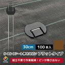 DAIM らくらくシート押さえピン【フラットタイプ】30cm 100本入 518068 202302