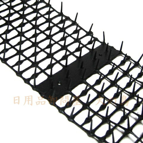 DAIM���������᥷���ȥ���ࡡ2m������12cm�����ӥˡ��������ҡ�531317����201803