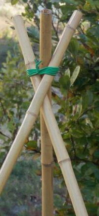 ���եȷ�«������ľ��3.5mm��8m��STC-4358C