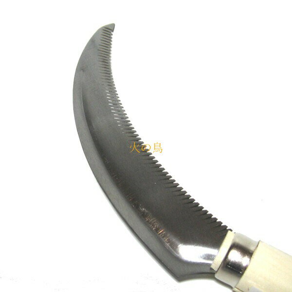 �����ܡ����ƥ�쥹�ϥ������ܥ�΢�ܵ�����Ⱦ�����ա���140024��202009