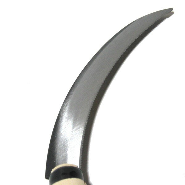 ����������ȬȬ������210mmȾ��������140315��202108