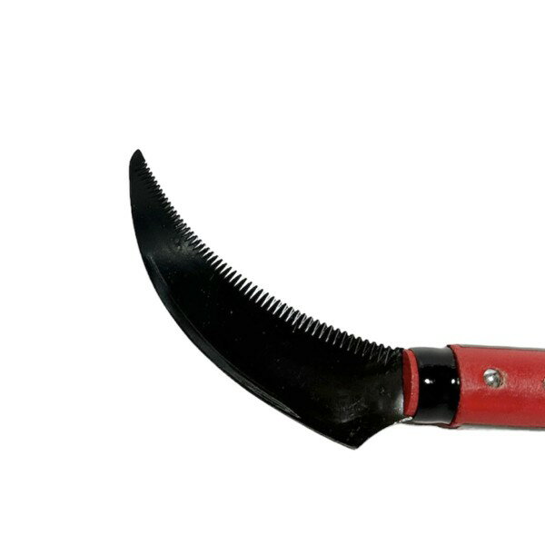 ��Ƭζ�΢�ܼ������ֵ��ʡ� ���ɥܥȥ����ա�KK-849����143799��202307