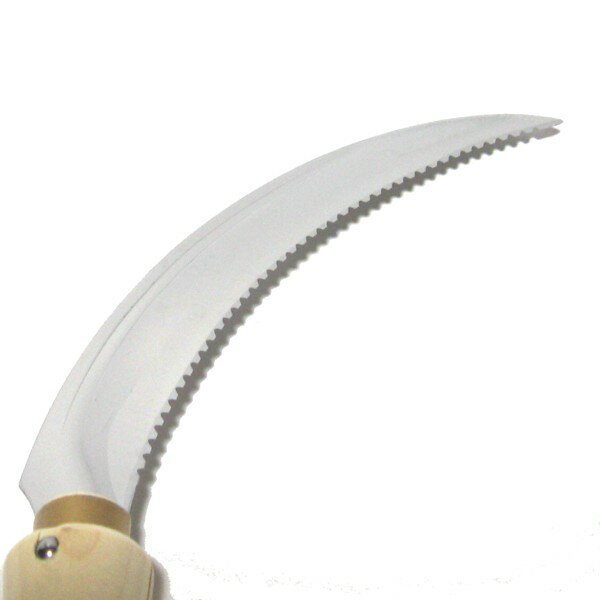 �ֽݺ���ƥ�쥹�����ڳ�160mm���⤭������208254�֡�202110