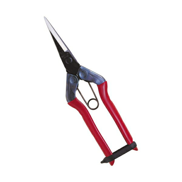 近正 芽切鋏 180mm 尖直刃 T-550