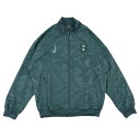 トッテナム 24-25 Dri-Fit Strike アンセムジャケット (グリーン)【NIKE/ナイキ】【サッカー ウェア ジャージ】(HF1835-360)...