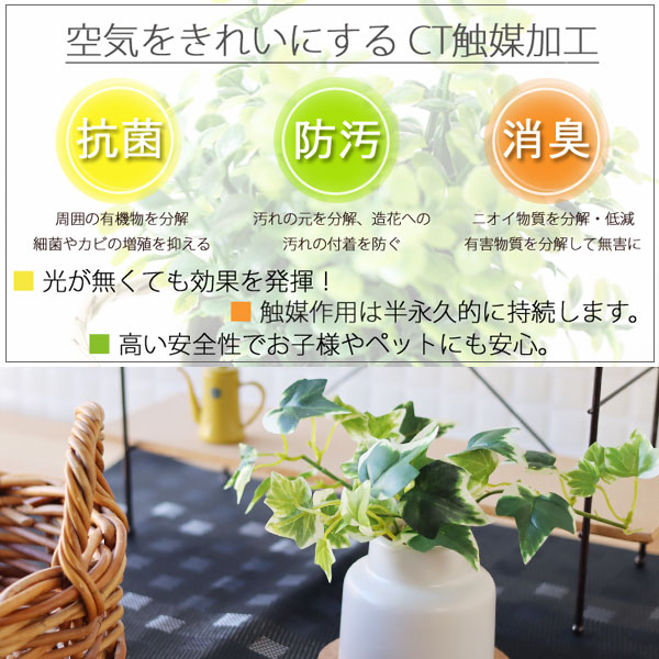 �����ꥢ �ý������ƥ��ե�����륰�꡼�� ��ƫ��ȭ������ S�ھý����å� �������� ¤�� ���տ�ʪ ���륯�����������ա�