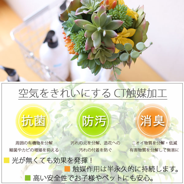 �����ꥢ �ý������ƥ��ե�����륰�꡼�� ¿���ߤ겼��������L�ھý����å� �������� ¤�� �ǥ��ɥ��� ���տ�ʪ CT���޲ù���