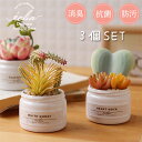 【ポイント10倍】エクリア 消臭アーティフィシャルグリーン 多肉3個セット【フェイクグリーン 人工観葉植物 造花】