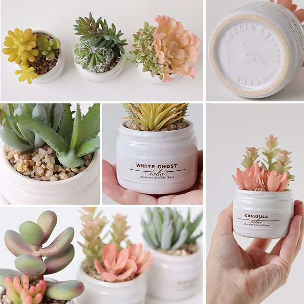 �����ꥢ �ý������ƥ��ե�����륰�꡼�� ¿��3�ĥ��åȡڥե��������꡼�� �͹����տ�ʪ ¤�֡�