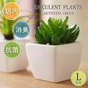 サキュレントプランツ アーティフィシャルグリーンL【消臭グッズ 空気清浄 造花 観葉植物 四葉 デオ ...