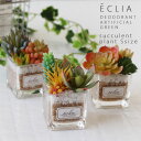 【ポイント10倍】エクリア 消臭アーティフィシャルグリーン 多肉タイプ S【観葉植物 造花】
