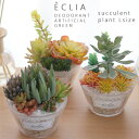 【ポイント10倍】エクリア 消臭アーティフィシャルグリーン 多肉タイプL【観葉植物 造花】