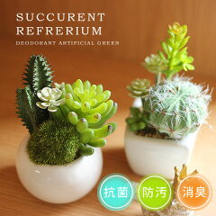 https://thumbnail.image.rakuten.co.jp/@0_mall/fcinterior/cabinet/houseware_pg/fakegreen_pg/pg32570.jpg