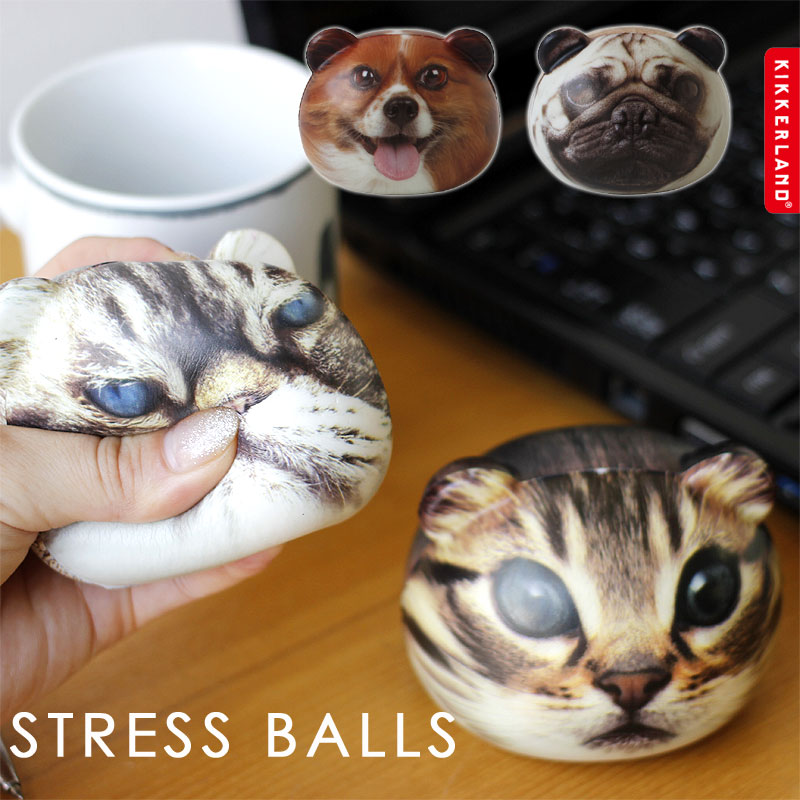 KIKKERLAND STRESS BALLS【キッカーランド スクイーズ 猫 ねこ 犬 いぬ フィジェットトイ】 fcinterior-10010808 エフシーインテリア パッケージ画像