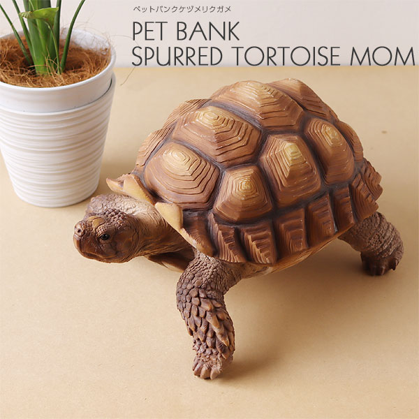 PET BANK SPURRED TORTOISE MOM ペットバンク ケヅメリクガメ【貯金箱 かめ オブジェ インテリア ギフト ユニーク ma…