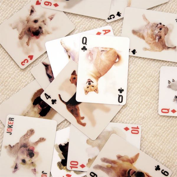 �ڥݥ����10�ܡ�KIKKERLAND�ȥ��ס����˥ޥ�3D������