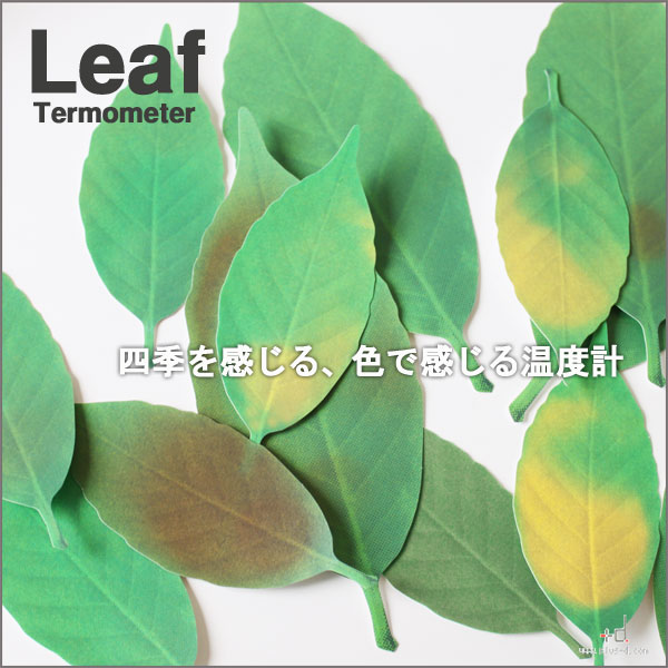 Leaf Thermometer（温度計） 【ポイント2倍】アッシュコンセプト☆リーフ【+d 体温計 エコグッズ おもしろグッズ】