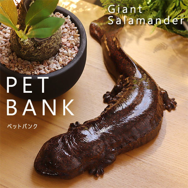 PET BANK GIANT SALAMANDER オオサンショウウオ【magnet コインバンク マネーバンク ペットバンク 大山椒魚 giant sa…