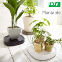 tidy Plantable プランタブル【水受け キャスター移動 鉢皿 鉢置台】