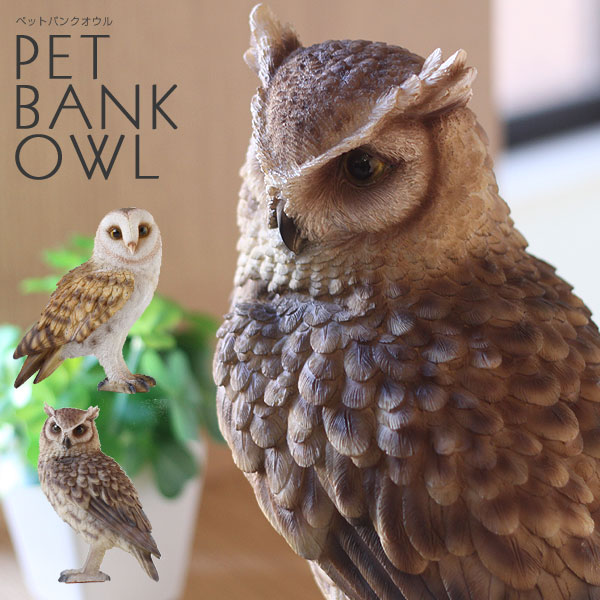 PET BANK OWL ペット バンク オウル