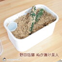 【ポイント10倍】野田琺瑯 ぬか漬け美人【漬物 保存容器】