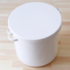 https://thumbnail.image.rakuten.co.jp/@0_mall/fcinterior/cabinet/kitchen_pg/container_pg/pg31727.jpg