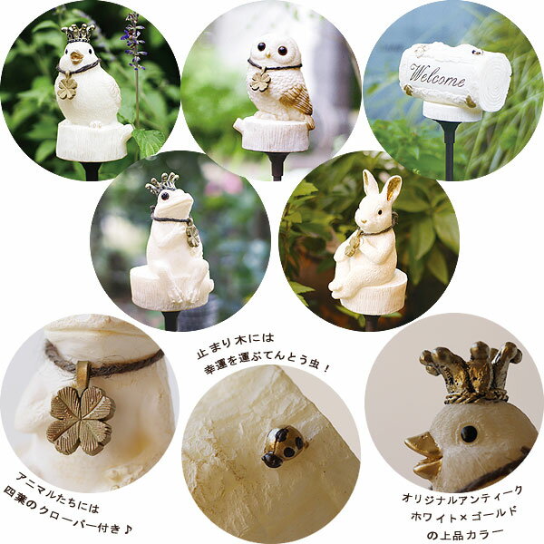 Pomie �ݥߥ� �����顼�饤�ȡ������� LED�饤�� �����ǥ�饤�� ������ ��Ļ ������ �ե����� ���˥ޥ� ưʪ��