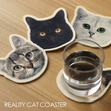 【ポイント10倍】REALITY ANIMAL MASK COASTER CAT【コースター 猫 リアル】