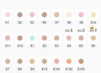 カバーマーク　COVERMARK　ベーシックフォーミュラ E5（SPF33　PA+++）11g 2