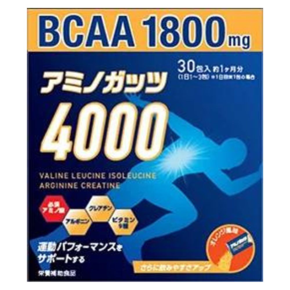 アミノガッツ4000 5g×30包