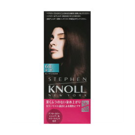 コーセー　KNOLL スティーブンノル カラークチュール 液状ヘアカラー 6B