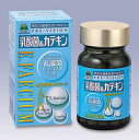 楽天FDC【湧永製薬】【送料込み】プレビジョン乳酸菌＆カテキン 180粒 （乳酸菌・ビフィズス菌・緑茶カテキン）【健康補助食品】