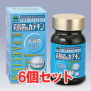 【送料込み】プレビジョン乳酸菌&カテキン 180粒 6個セット (乳酸菌・ビフィズス菌・緑茶カテキン)【健康補助食品】