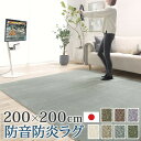 【5の付く日/最大1000円オフクーポン】ラグ ラグカーペット 正方形 防音防炎ラグ-エイヴァ 200x200cm リビング 高級感 おしゃれ 北欧 シンプル 無地調 極細 ホットカーペット対応 オールシーズン 防音 防ダニ 防炎 すべり止め 日本製 カットオーダー 在宅【mb】