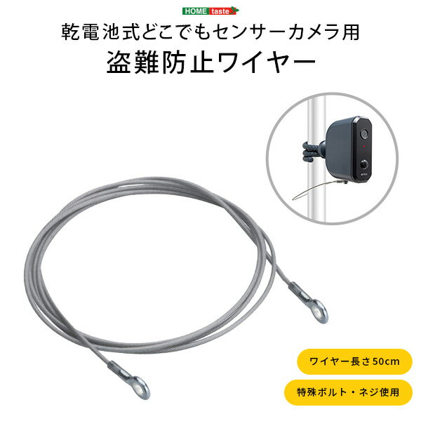 乾電池式どこでもセンサーカメラ用　盗難防止ワイヤー【so】