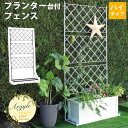 プランター台付フェンス ハイタイプ アーガイル【送料無料 フェンス ゲート 扉 アイアン ガーデンフェンス ガーデニング 枠 柵 仕切り 目隠し 境目 ベランダ...