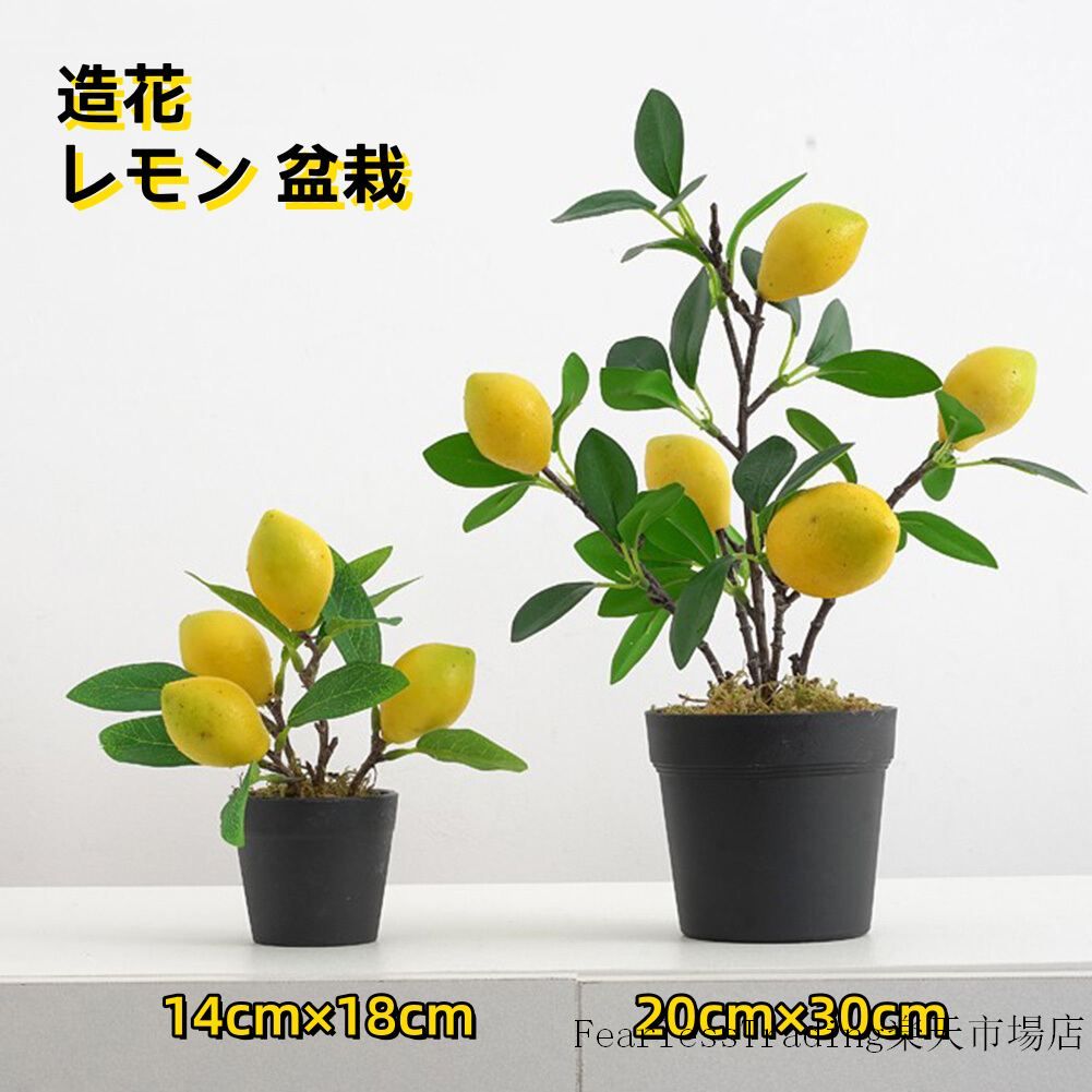 商品画像1