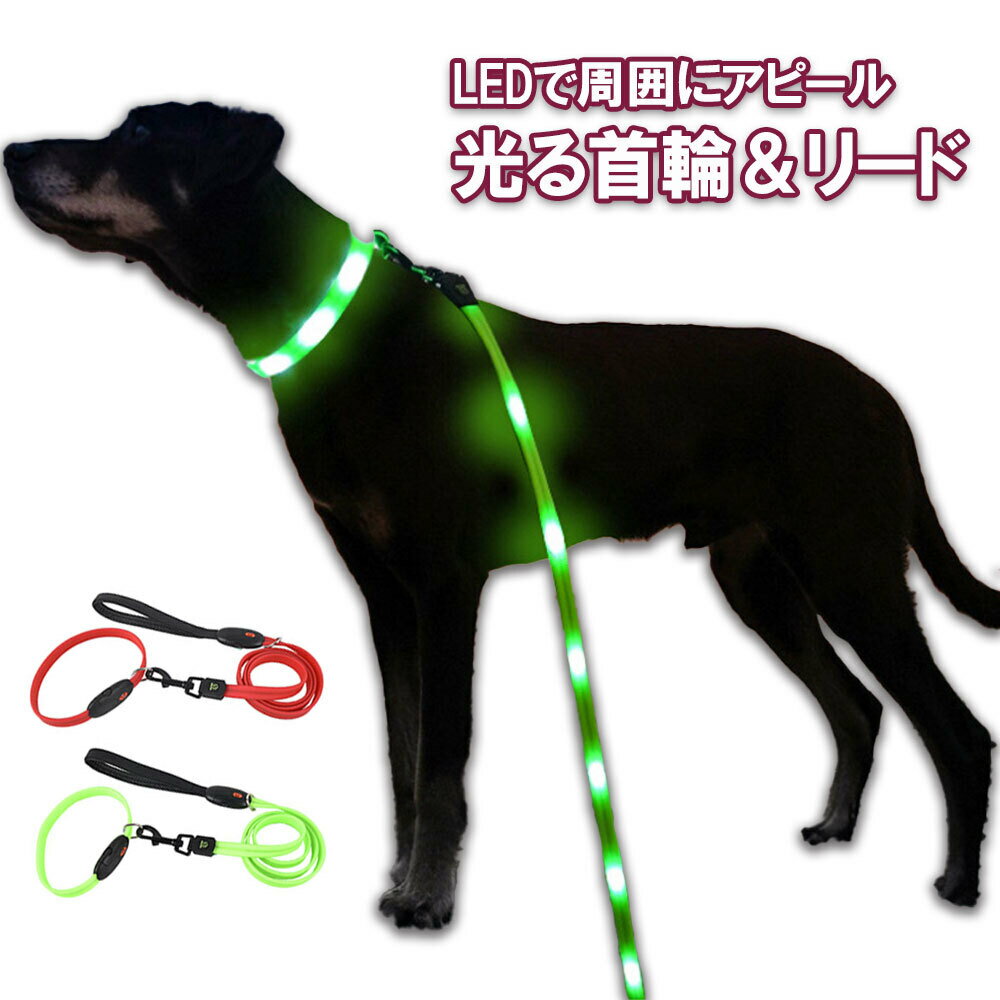 ペット用 リード 首輪 LED 光る ドッグリード ロープ 光るリード ペット ペット用品 ペットグッズ 犬 犬用品 愛犬 夜 夜間 事故防止 安全 お散歩グッズ 散歩 小型犬 中型犬 USB充電 Sサイズ Mサイズ グリーン レッド 送料無料 フェザーストア