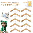 ペット用 ヘアピンセット クリップ　犬 フルーツ 蝶結び さわやか　テディ ヨークシャー マルタ