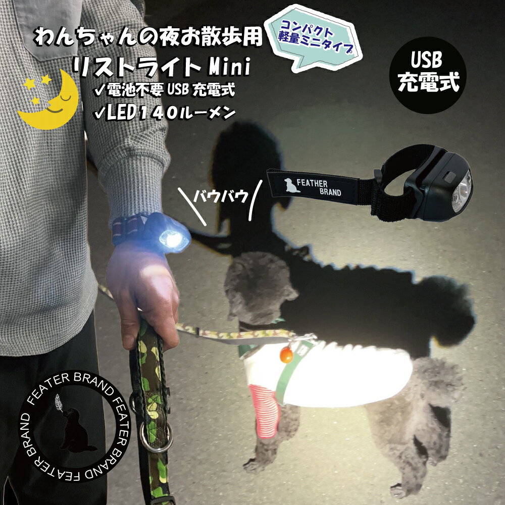 散歩 ライト 犬 リストライトmini 光るチャーム付き お散歩ライト 散歩用ライト 犬の散歩 懐中電灯 犬 腕 軽量 ウォーキング 懐中電灯 USB Type-C 充電式 リストライト 明るい 140ルーメン 専用ケース付き 防災グッズ キャンプ用品 災害グッズ メール便 フェザーストア