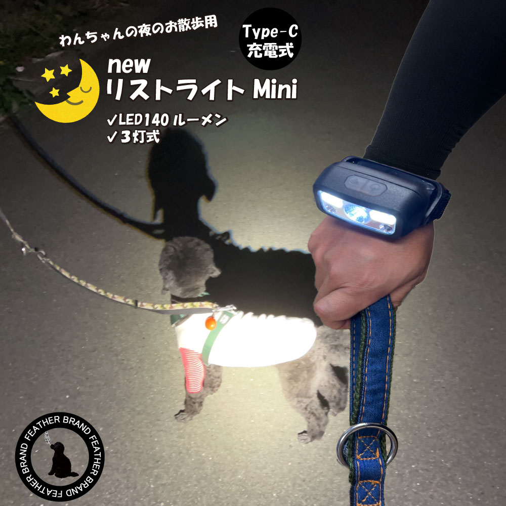 散歩 ライト 犬 散歩 ライト お散歩ライト 3灯式 散歩用ライト 犬の散歩 懐中電灯 犬 腕 軽量 ウォーキング 懐中電灯 USB Type-C 充電式 リストライト 明るい 140ルーメン 専用ケース付き 防災グッズ キャンプ用品 災害グッズ 送料無料 メール便 フェザーストア