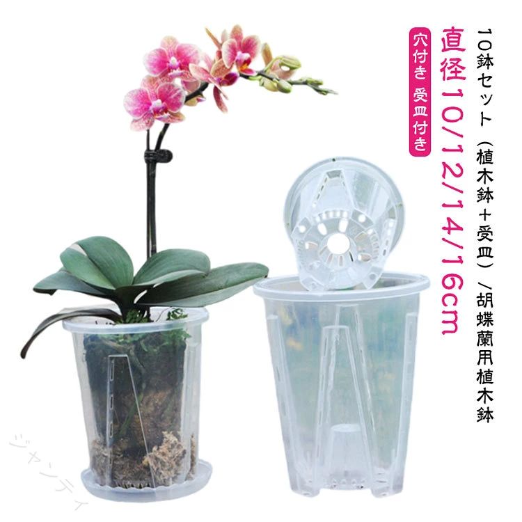 直径10/12/14/16cm10鉢セット（植木鉢＋受皿）/胡蝶蘭用植木鉢鉢底とサイドに穴がたくさん空いているため通気性に優れています。鉢の中についた柱は胡蝶蘭の根腐れを防止できます。観葉植物の植え替えにお勧め！透明なので、生育中の根の動きが見える！水の乾き具合も外から確認でき、水やりの悩みが解消されます！胡蝶蘭だけでなく、多肉植物、アデニウムなど観葉植物の植え替えにもお勧め！ サイズ 植木鉢＋受皿 サイズについての説明 10鉢セット口直径10cm 10鉢セット口直径12cm 10鉢セット口直径14cm 10鉢セット口直径16cm 素材 プラスチック 色 10鉢セット口直径10cm 10鉢セット口直径12cm 10鉢セット口直径14cm 10鉢セット口直径16cm 備考 ●サイズ詳細等の測り方はスタッフ間で統一、徹底はしておりますが、実寸は商品によって若干の誤差(1cm〜3cm )がある場合がございますので、予めご了承ください。 ●製造ロットにより、細部形状の違いや、同色でも色味に多少の誤差が生じます。 ●パッケージは改良のため予告なく仕様を変更する場合があります。 ▼商品の色は、撮影時の光や、お客様のモニターの色具合などにより、実際の商品と異なる場合がございます。あらかじめ、ご了承ください。 ▼生地の特性上、やや匂いが強く感じられるものもございます。数日のご使用や陰干しなどで気になる匂いはほとんど感じられなくなります。 ▼同じ商品でも生産時期により形やサイズ、カラーに多少の誤差が生じる場合もございます。 ▼他店舗でも在庫を共有して販売をしている為、受注後欠品となる場合もございます。予め、ご了承お願い申し上げます。 ▼出荷前に全て検品を行っておりますが、万が一商品に不具合があった場合は、お問い合わせフォームまたはメールよりご連絡頂けます様お願い申し上げます。速やかに対応致しますのでご安心ください。 【原産国／製造国: 中国】 .透明プラスチック製の10鉢セットは穴付きで胡蝶蘭鉢や洋蘭鉢として植え替えに最適。オーキッドポットとして屋内外どちらでも使え、観葉植物や多肉植物の育苗ポットとしても便利。ガーデニングや園芸用品として花鉢や透明鉢をお探しの方におすすめ。おしゃれなデザインで植物の健康な成長をサポートし、初心者から上級者まで幅広く使える人気商品です。。 指定された配送時間は承っておりません。【ジャンティ】直径10/12/14/16cm10鉢セット（植木鉢＋受皿）/胡蝶蘭用植木鉢鉢底とサイドに穴がたくさん空いているため通気性に優れています。鉢の中についた柱は胡蝶蘭の根腐れを防止できます。観葉植物の植え替えにお勧め！透明なので、生育中の根の動きが見える！水の乾き具合も外から確認でき、水やりの悩みが解消されます！胡蝶蘭だけでなく、多肉植物、アデニウムなど観葉植物の植え替えにもお勧め！ サイズ 植木鉢＋受皿 サイズについての説明 10鉢セット口直径10cm 10鉢セット口直径12cm 10鉢セット口直径14cm 10鉢セット口直径16cm 素材 プラスチック 色 10鉢セット口直径10cm 10鉢セット口直径12cm 10鉢セット口直径14cm 10鉢セット口直径16cm 備考 ●サイズ詳細等の測り方はスタッフ間で統一、徹底はしておりますが、実寸は商品によって若干の誤差(1cm〜3cm )がある場合がございますので、予めご了承ください。 ●製造ロットにより、細部形状の違いや、同色でも色味に多少の誤差が生じます。 ●パッケージは改良のため予告なく仕様を変更する場合があります。 ▼商品の色は、撮影時の光や、お客様のモニターの色具合などにより、実際の商品と異なる場合がございます。あらかじめ、ご了承ください。 ▼生地の特性上、やや匂いが強く感じられるものもございます。数日のご使用や陰干しなどで気になる匂いはほとんど感じられなくなります。 ▼同じ商品でも生産時期により形やサイズ、カラーに多少の誤差が生じる場合もございます。 ▼他店舗でも在庫を共有して販売をしている為、受注後欠品となる場合もございます。予め、ご了承お願い申し上げます。 ▼出荷前に全て検品を行っておりますが、万が一商品に不具合があった場合は、お問い合わせフォームまたはメールよりご連絡頂けます様お願い申し上げます。速やかに対応致しますのでご安心ください。 【原産国／製造国: 中国】 .透明プラスチック製の10鉢セットは穴付きで胡蝶蘭鉢や洋蘭鉢として植え替えに最適。オーキッドポットとして屋内外どちらでも使え、観葉植物や多肉植物の育苗ポットとしても便利。ガーデニングや園芸用品として花鉢や透明鉢をお探しの方におすすめ。おしゃれなデザインで植物の健康な成長をサポートし、初心者から上級者まで幅広く使える人気商品です。。 指定された配送時間は承っておりません。【ジャンティ】