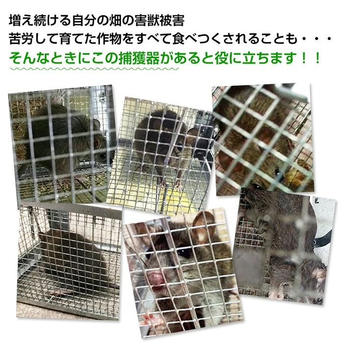 フィール08の捕獲器 踏み板式 折りたたみ収納 ガード付き踏板式 バネ式 アニマルキャッチャー 害獣駆除 害獣対策 Sサイズ 60.5×18.5×20.5cm 小動物 猫用 イタチ ねずみ 鼠 害獣 保護 捕獲 動物捕獲器 動物用捕獲器 吊りエサ 庭 畑 農業 家庭菜園 動物｜アングル2