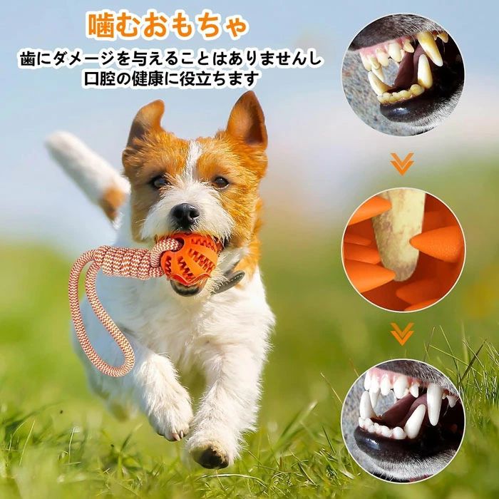 フィール08の犬 3個パック ロープ おもちゃ 噛む 犬 犬 おもちゃ 人気 おもちゃ おやつボール 噛む ストレス解消 犬ロープおもちゃ 清潔 丈夫 耐久性 耐久 歯磨き 丈夫 水洗いOK 歯磨き 知育玩具 噛む ペットトイ ペットおもちゃ 小型犬 猫 玩具 送料無料 中型犬 大型犬｜アングル2