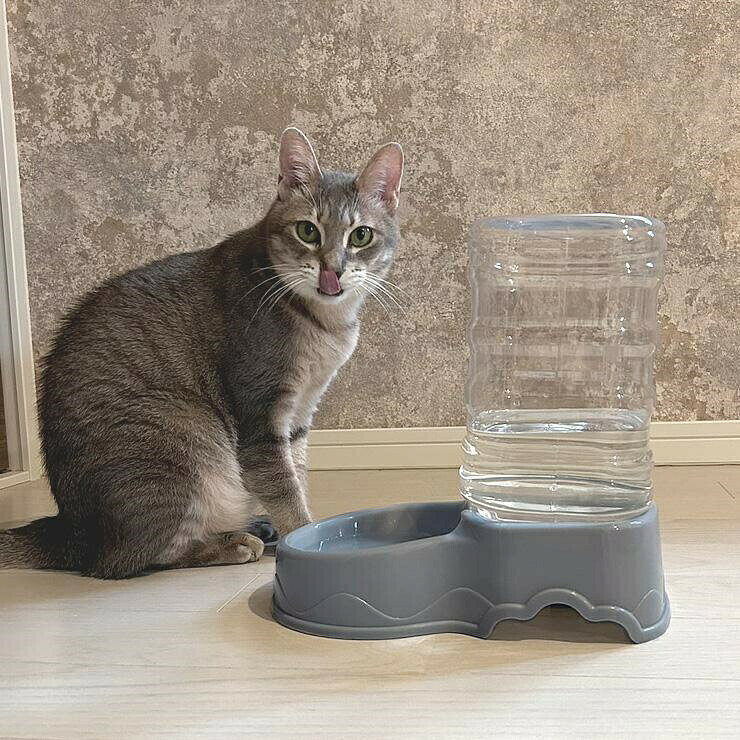 FEEL FEELのペット自動給水器 犬 猫 大容量 電源不要 ペット給水器 給水機 ペット用給水器 水飲み器 自動水やり器 自動水やり機 洗える 自動補水 受け皿｜アングル2