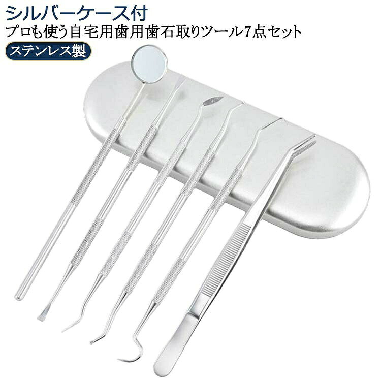 スケーラー 歯石取り 歯垢 自分で取る 器具 ヤニとり ステンレス製歯用ツール6点入り ステンレス製 先極細 デンタルツール デンタルツール6 プロも使う自宅用 敬老の日 歯石除去
