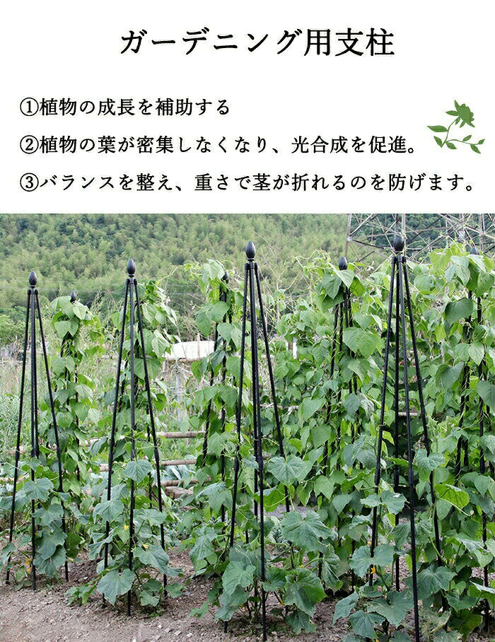 トピアリースティック つるバラ 誘引 資材 トピアリータワー ガーデニング用支柱 ...