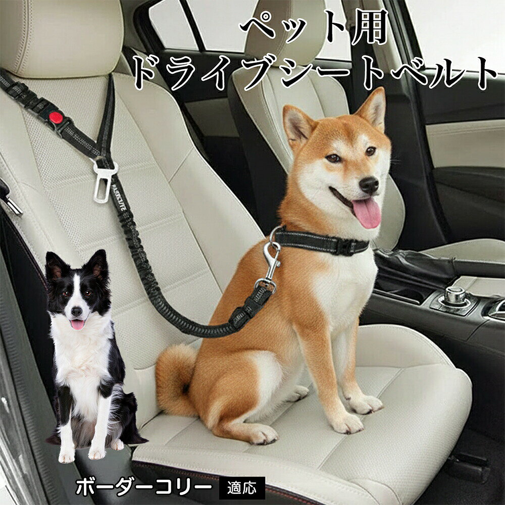 ボーダー コリー 犬用 シートベルト 車 リード 2WAY ヘッドレスト固定 シートベルト差し込み バンジー 伸縮 衝撃吸収 飛び出し防止 反射素材 夜間安全 ドライブ 車内 中型犬 小型犬 固定