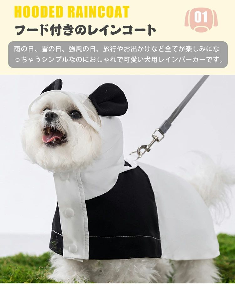 サンプル画像3