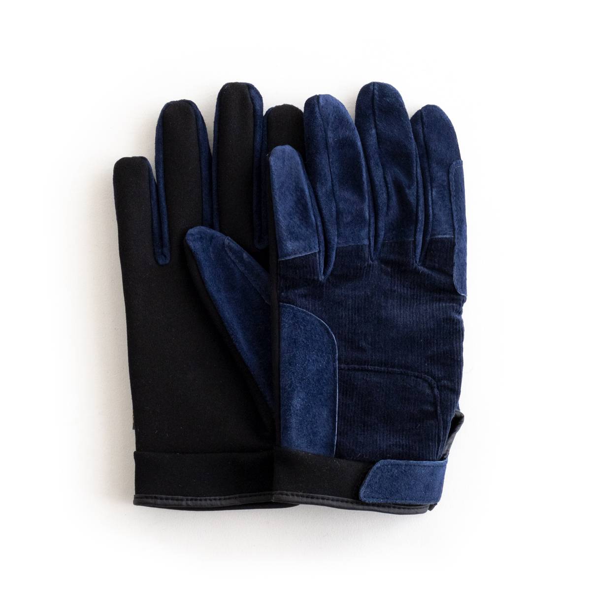 EVOLG DUEV (3F) LET2733 GHO GLOVE O[u  R[fC Xgb` XEF[h ^b`XN[Ή h rWlX JWA  G Y 